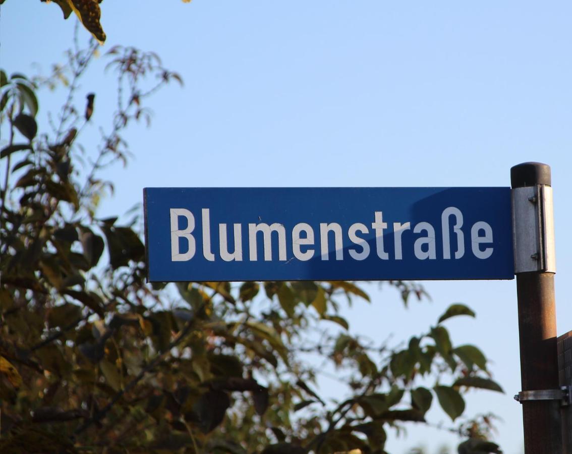 Ferienwohnung Auf Der Blumenstrasse Nettetal Eksteriør bilde